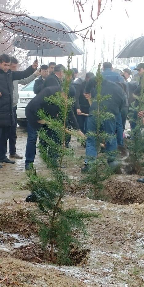 ЧОРАБИНИИ ОБОДОНӢ ВА НИҲОЛШИНОНӢ ДАР ШАҲРИ РОҒУН БАРГУЗОР КАРДА ШУД